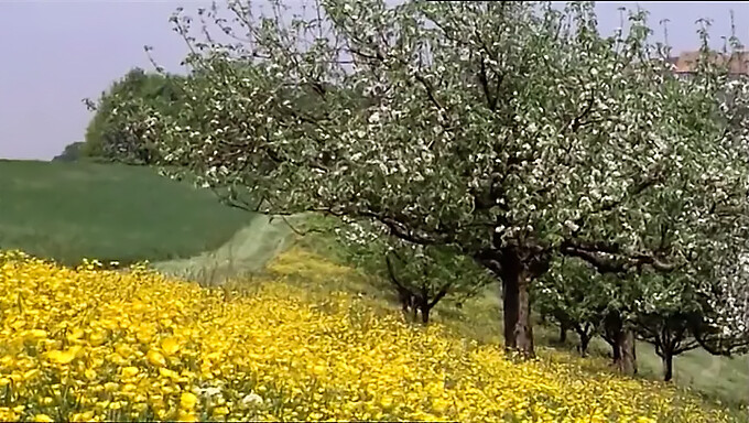 Šole: Lizanje Pičke In Masturbacija Leta 1977