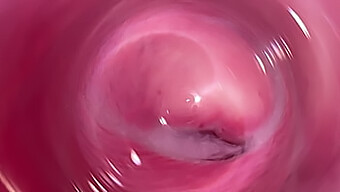 Hd Video Of My Wet And Tight Pussy