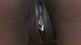 Cock In Pu...