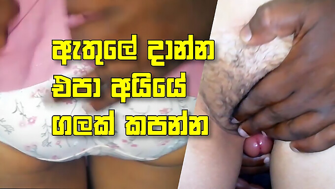 Petualangan Anal Remaja Sri Lanka - Gadis 18 Tahun Menyukai Kontol Dan Sperma