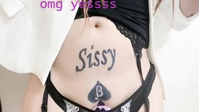 Sissy Blowjob 컴필레이션으로 궁극적인 만족을 느껴보세요