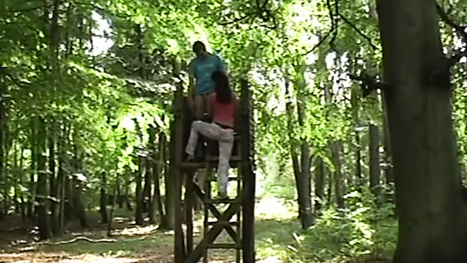 Comiendo Coño Y Lamiendo Pezones Durante Un Trío Al Aire Libre